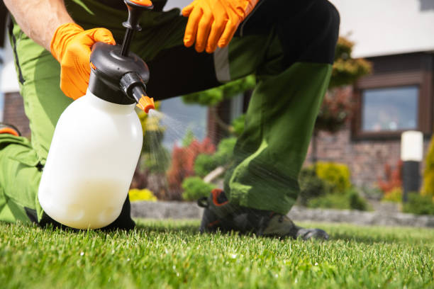 Best Pest Removal Services  in Butler, WI