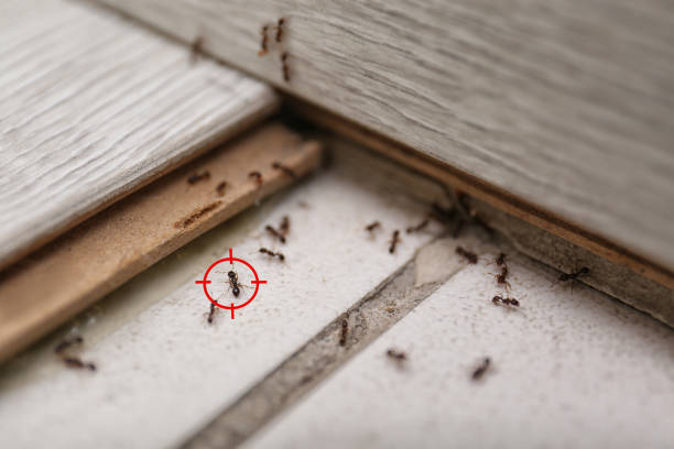 Best Pest Removal Services  in Butler, WI