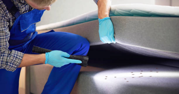 Best Cockroach Control Services  in Butler, WI