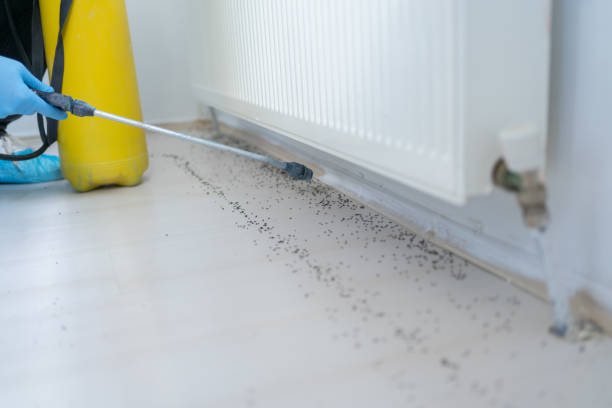Best Local Pest Control Services  in Butler, WI