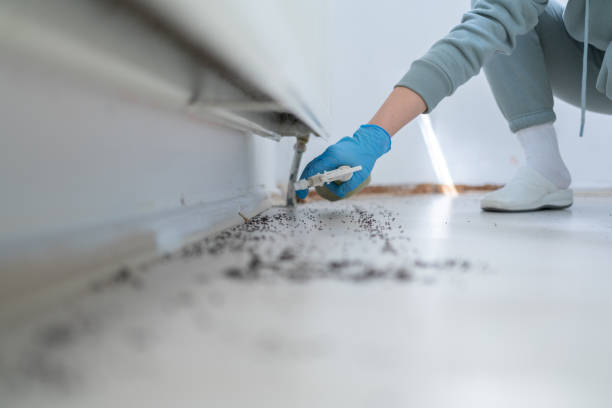 Professional Pest Control in Butler, WI